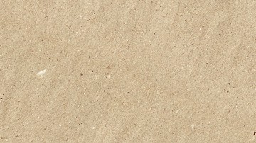 Tileable Paper Texture | Royalty-Free | copyright-free | Free stock Footage | 4K