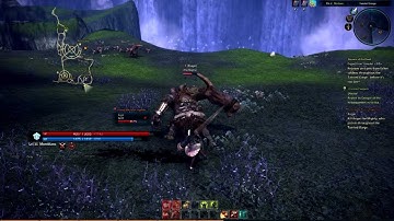 TERA 600ms lag :o