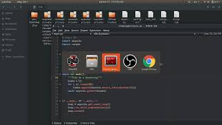 Ninja-IDE 3.0 - Swap File