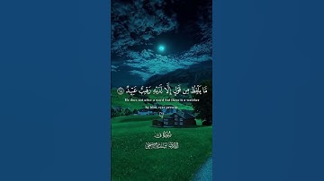 ( ولقد خلقنا الإنسان ونعلم ما توسوس به نفسه )   القارئ إسلام صبحي