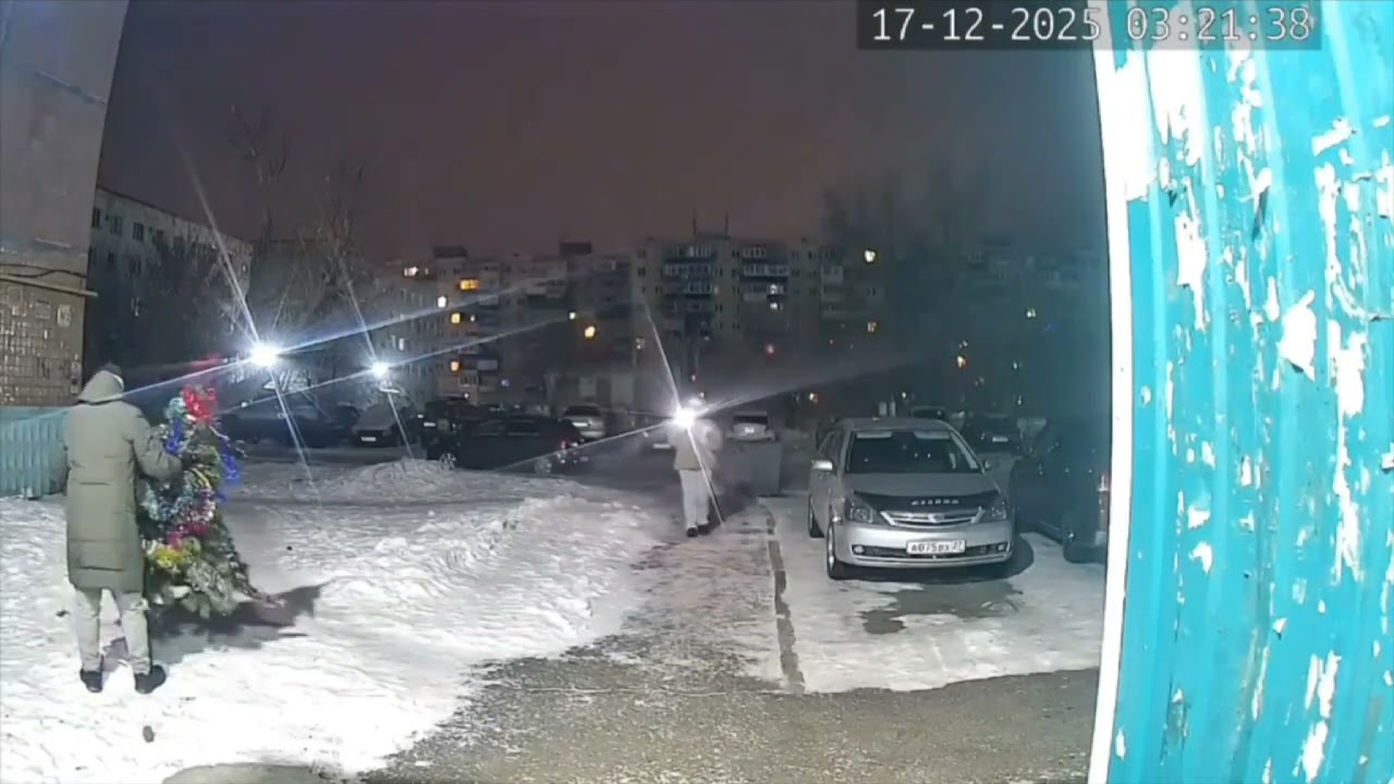 Жуткие новогодние приключения ёлочки