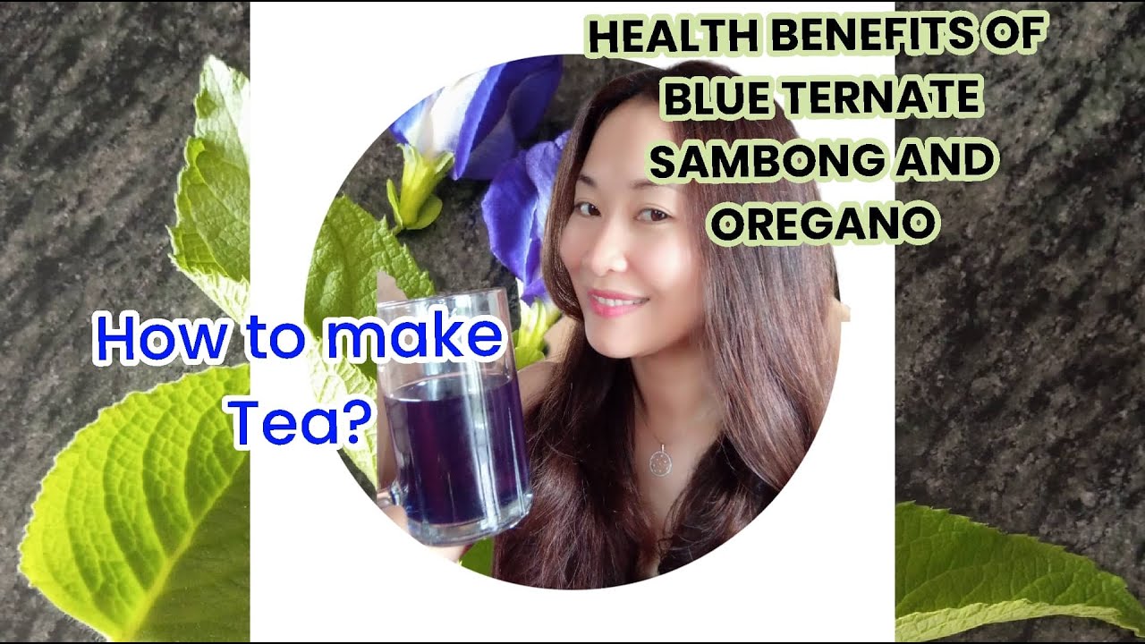 HOW TO MAKE TEA (BLUE TERNATE, SAMBONG AND OREGANO) AND HEALTH BENEFITS