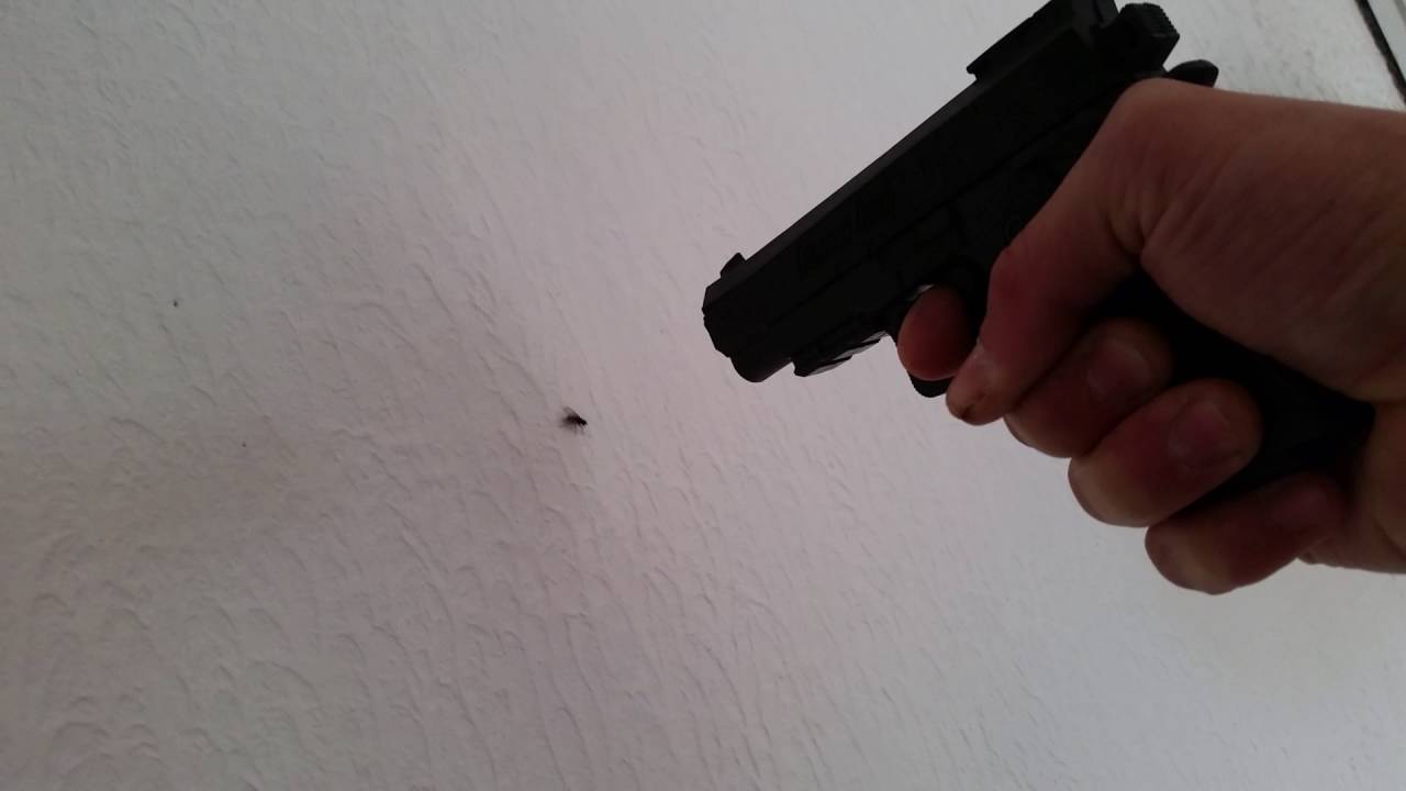 RÃ©sultat de recherche d'images pour "tuer la mouche"