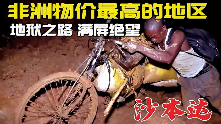 纪录片：黑人两兄弟推自行车，9天走140公里，为家里运回300斤物资，雨林的道路简直太离谱啦！这里是世界最穷的国家刚果（金），非洲物价最高的城市沙本达 - 天天要闻
