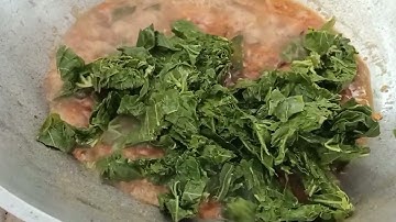 PECEL DAUN SINGKONG,LOTHO Pasti ketagihan.jgn d Masak Lain.