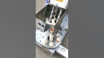 Chinese baozi bun momo steamed bun making machine