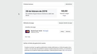 3  Configuraciones de pago para sus anuncios de Facebook screenshot 3