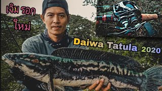 Daiwa Tatula sv tw 2020 #Skipping หนูครองเมือง เหยื่อ #พริ้มMICKEY ep.2