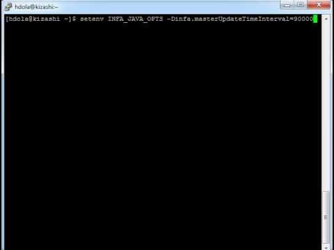 Domain stability node timeout settings in Informatica 9.x