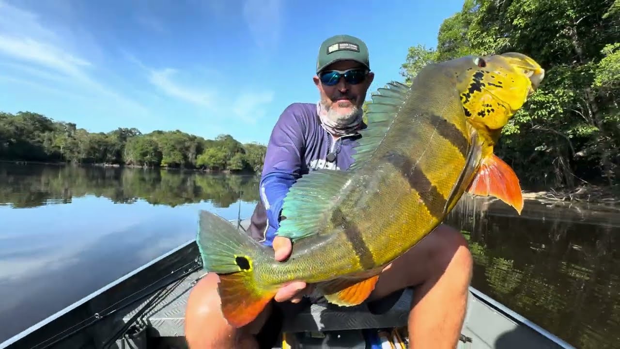 SERIA O TUCUNARÉ MAIS BONITO DE TODOS? Responda…