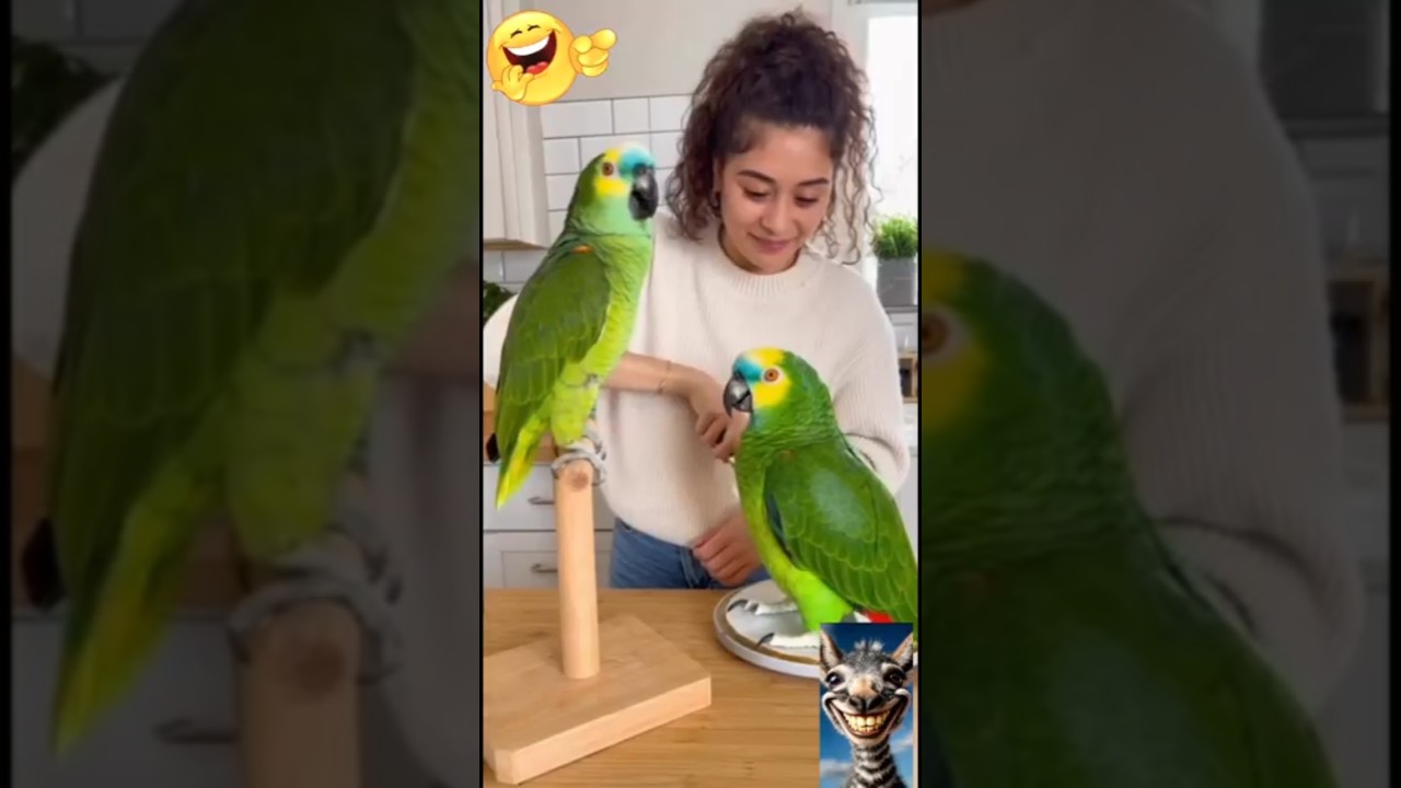 Crazy Funny Bird Moments 🐦🤣Viral Bird Videos 