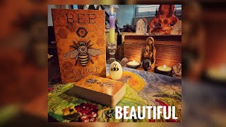 Bee Tarot by Kristoffer Hughes ~ Walkthrough & First Impressions