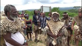 🔻Archives🔺️INyosi Mphatheleni Mncwango ichaza ngempilo yeNkosi Cetshwayo.