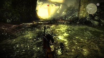 Witcher 2 Shadow Glitch