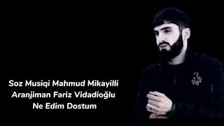 Mahmud Mikayıllı ft Fariz Vidadioglu - Ne Edim Dostum 2022 Resimi