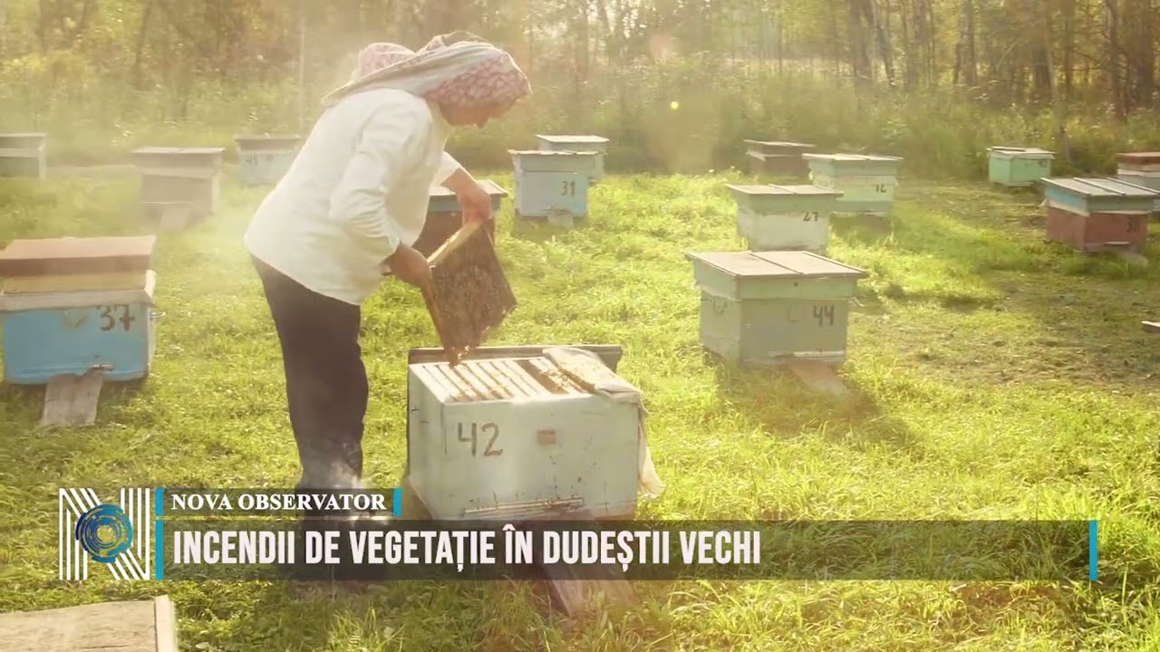 Incendii de vegetație în Dudeștii Vechi
