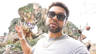 I'm Concerned About the Floating Mountains in Pandora the World of Avatar - Animal Kingdom is a Skip