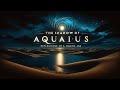 The Shadow Side of Aquarius | EA Zoom Lecture | Pluto in Aquarius