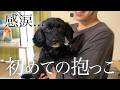 【感動の瞬間】初めて人の温もりに触れた保護犬に涙が止まりません。