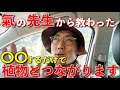 氣の先生に聞いた！〇〇すると植物と人はつながるという話