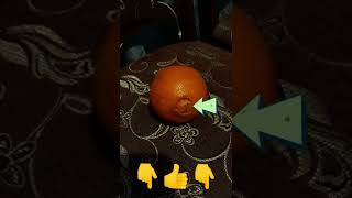 Сладкая Писечка Апельсина Как  выбрать сладкий Апельсин