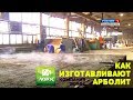 КАК ИЗГОТАВЛИВАЮТ АРБОЛИТ | КОМПАНИЯ ЛОТОС