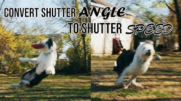 Convert Shutter Angle to Shutter Speed for CINEMATIC Video!
