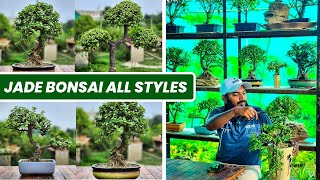 ऐसी वीडियो पुरे यूट्यूब पर नहीं मिलेगी  Jade Bonsai All Styles Step By Step  Detailed Video