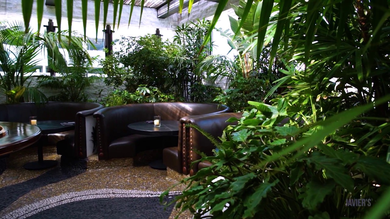 Javier's Restaurant Century City YouTube