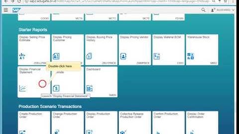 Display Financial Statement by SAP Screen Personas design Fiori