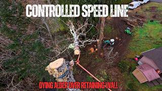 Controlled Speedline: Removing a Dying Alder Over a Retaining Wall