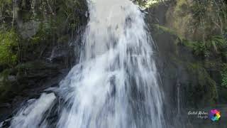 Hayedo de Busmayor. El Bierzo (Castilla y León)