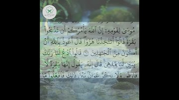 سورة البقرة  الشيخ محمد الفقيه  #forupage #اكسبلور #quotes #تيك_توك #quran #dosa #peace #love