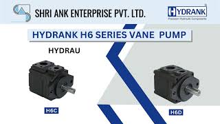 Introducing the Made in India Denison design vane pump #hydrankh6 #madeinindia #shriank #India