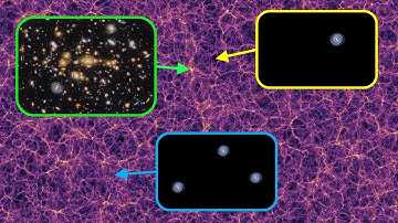 Cluster, Field, and Void Galaxies: What Are They?