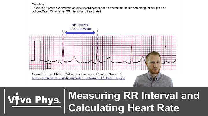 Measuring RR Interval and Calculating Heart Rate - DayDayNews
