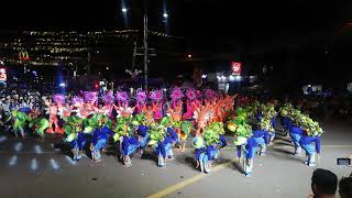 San Pablo City Coconut Festival 2019 Street Dancing Competition  LSPUSPCC