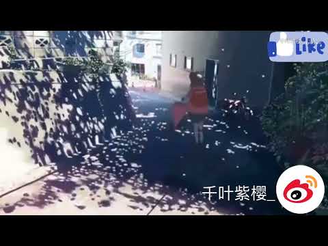 【千叶紫樱】秒速五厘米 你知道樱花降落的速度是多少吗？ 明里和志树的对话配音