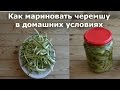 Черемша маринованная. Как Мариновать Черемшу в Домашних Условиях