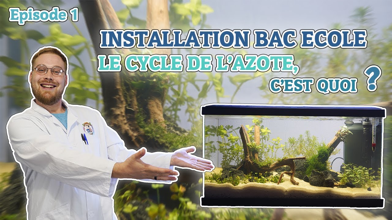 EPISODE 1 ! CREATION DE L'AQUARIUM ET LE CYCLE DE L'AZOTE / BAC ECOLE [ ANI' MOOD ]