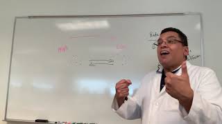 Yasser Saad-Diffusion I-Lab Introductions
