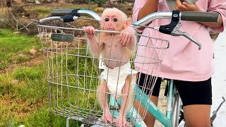 Bonbon baby monkey learns to ride a bike by Home Pet 461 views 10 months ago 5 minutes, 14 seconds