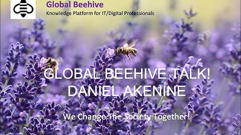 Global Beehive Talk   Daniel Akenine