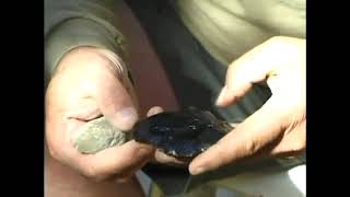How to Thin a Piece of Stone