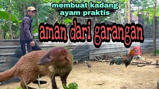 Membuat kandang ayam praktis aman dari garangan