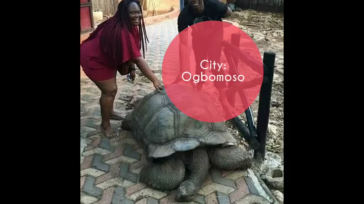 The Oldest Africa Tortoise (Alagba of Ogbomoso) is Dead