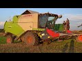 🔥CLAAS TUCANO 430 🔥 Koszenie kukurydzy na ziarno 2023 🔥 Talerzowanie 🔥 CLAAS ARION 630 🔥