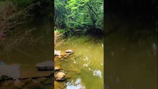 before monsoon #kerala #nature