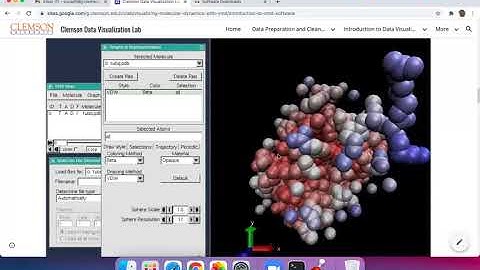 Visualizing Molecular Dynamics (VMD)