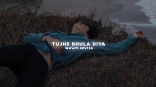Tujhe Bhula Diya (slowed \u0026 reverb) | Akanni